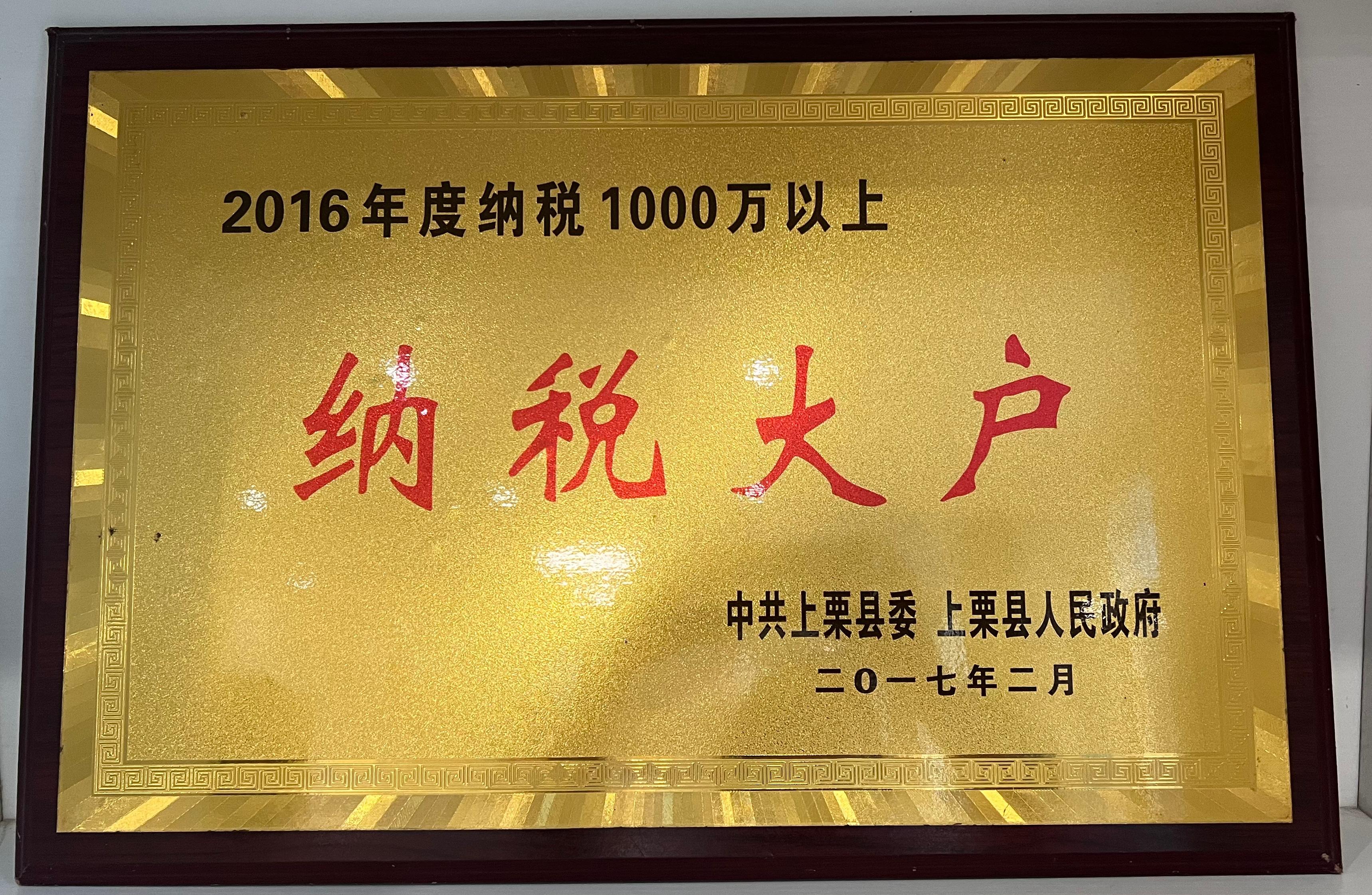 2016年纳税大户